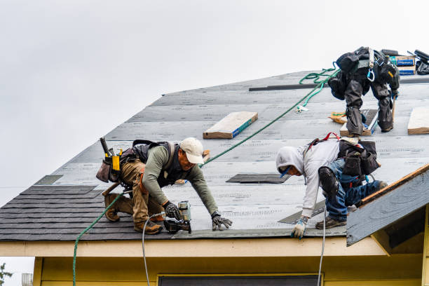 Professional Roofing technician working in Redwood, VA